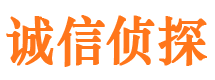 兰山市调查公司